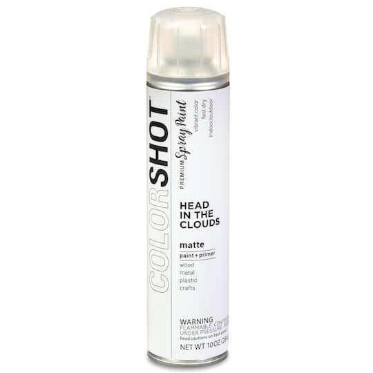 COLORSHOT&#xAE; Head In the Clouds Matte Spray Paint